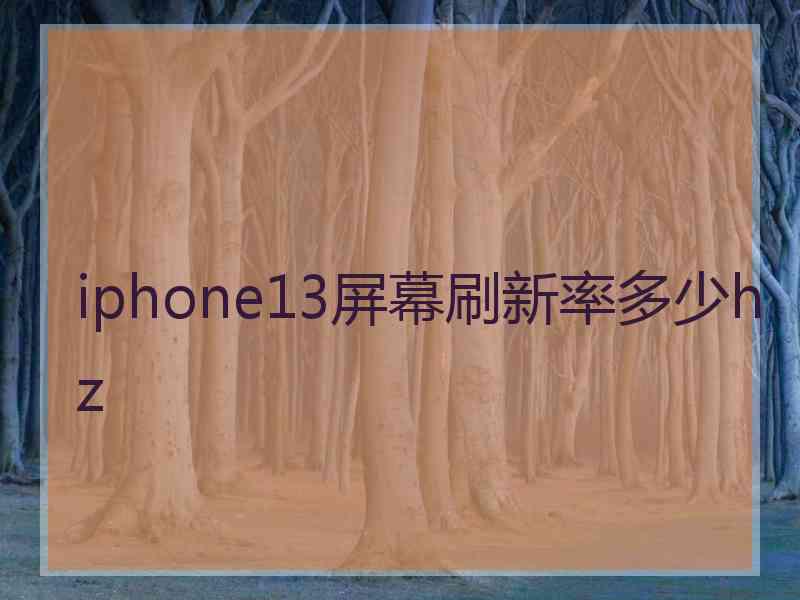 iphone13屏幕刷新率多少hz