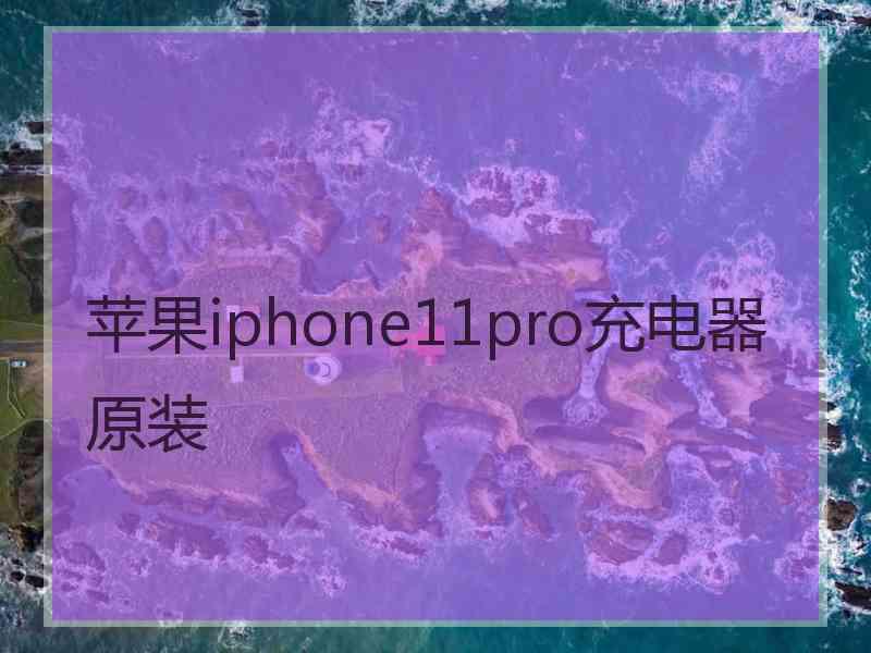 苹果iphone11pro充电器原装