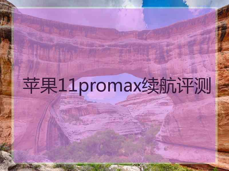 苹果11promax续航评测