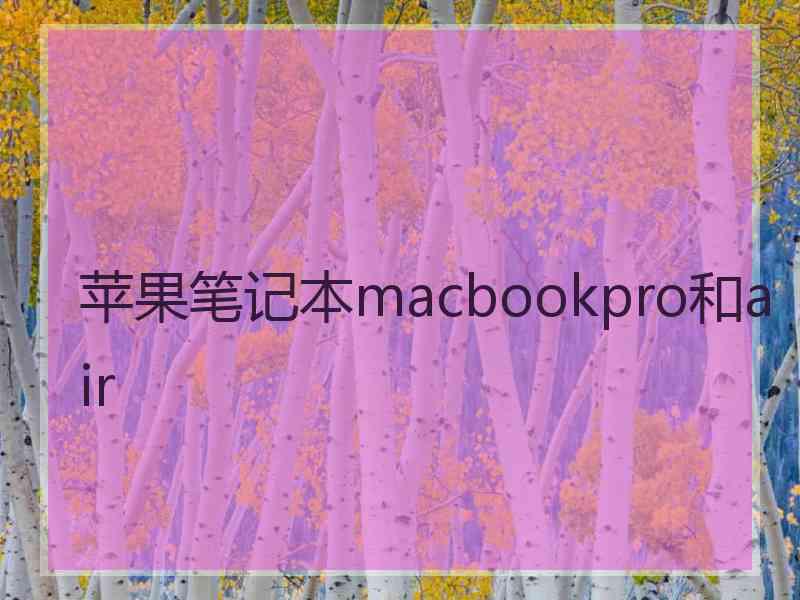 苹果笔记本macbookpro和air