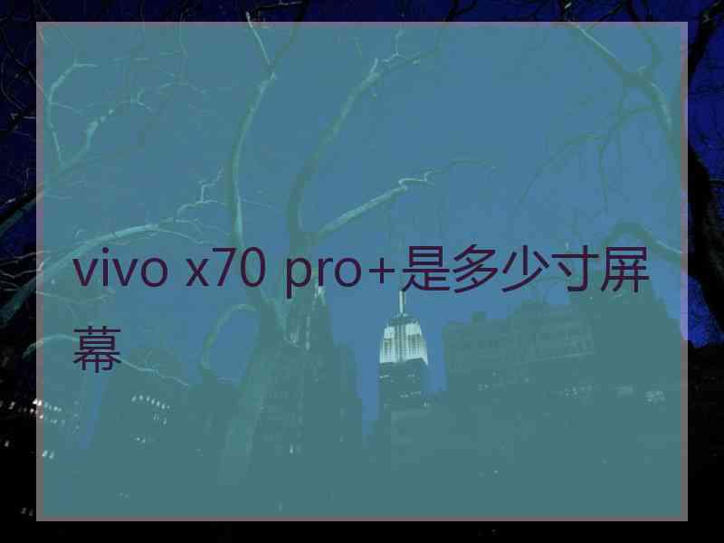 vivo x70 pro+是多少寸屏幕