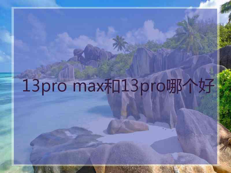 13pro max和13pro哪个好