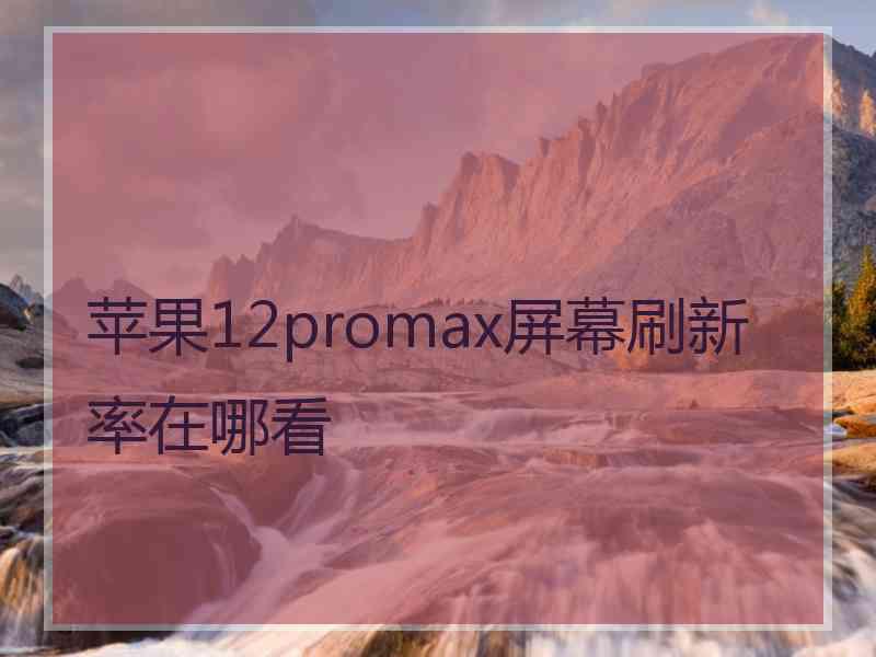 苹果12promax屏幕刷新率在哪看