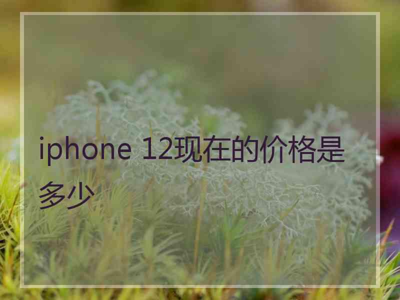 iphone 12现在的价格是多少