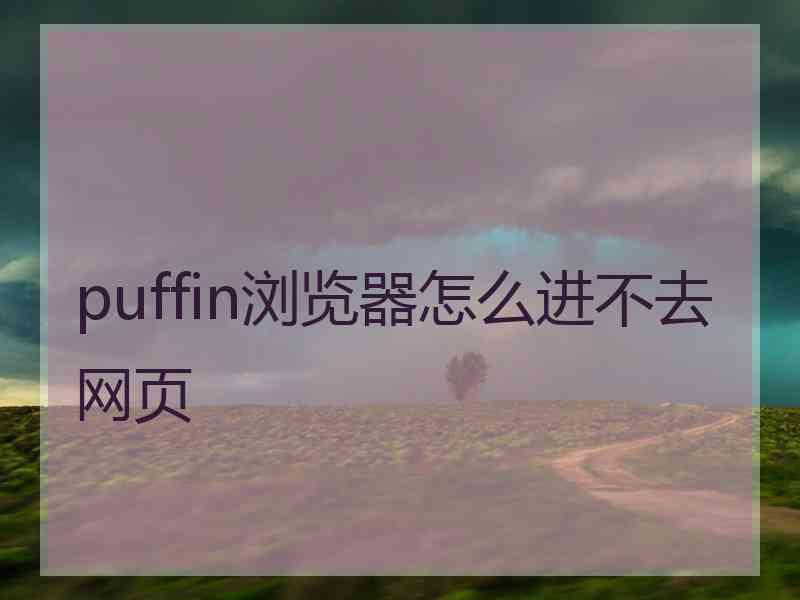 puffin浏览器怎么进不去网页