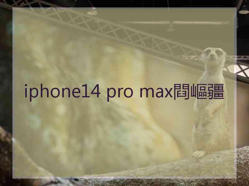 iphone14 pro max閰嶇疆