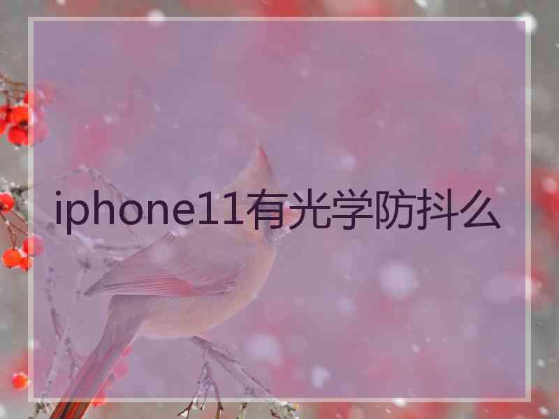 iphone11有光学防抖么