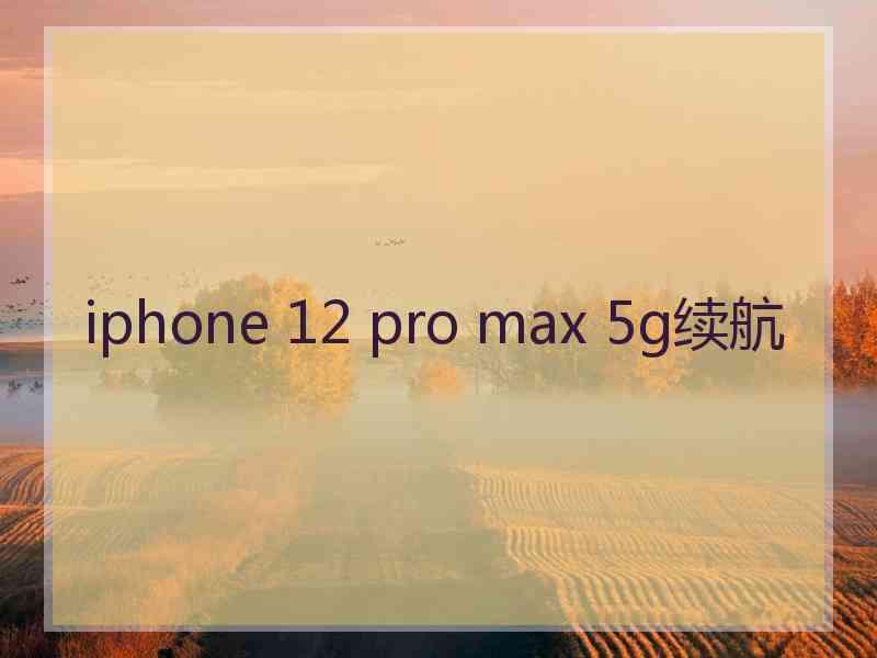 iphone 12 pro max 5g续航