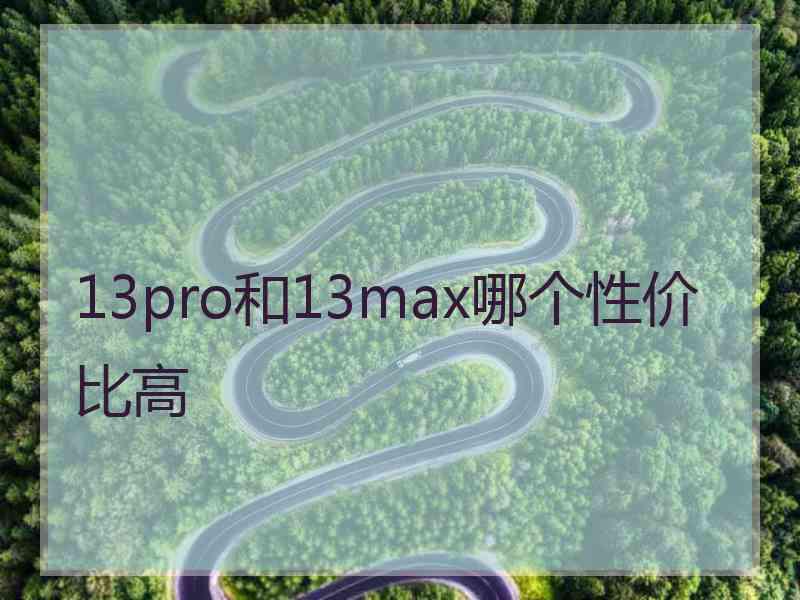 13pro和13max哪个性价比高