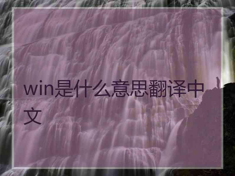 win是什么意思翻译中文