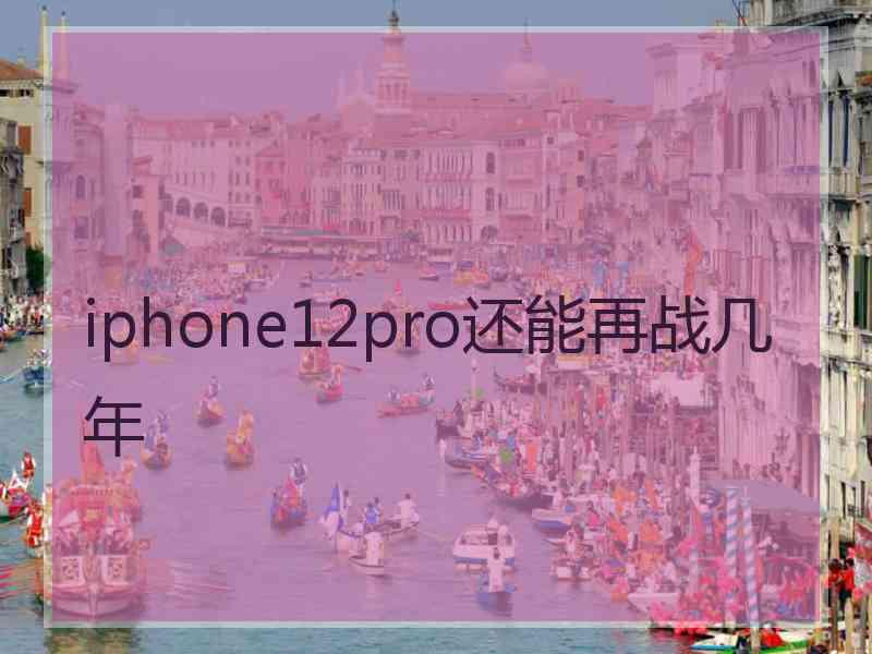 iphone12pro还能再战几年