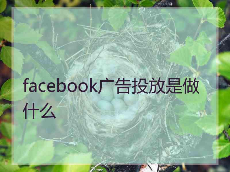 facebook广告投放是做什么