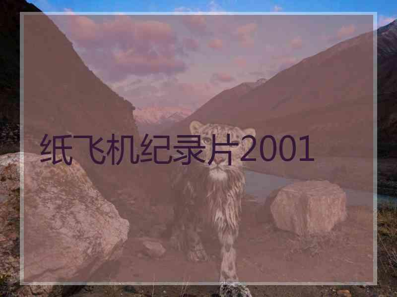 纸飞机纪录片2001