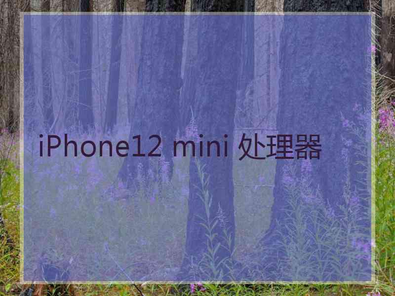 iPhone12 mini 处理器