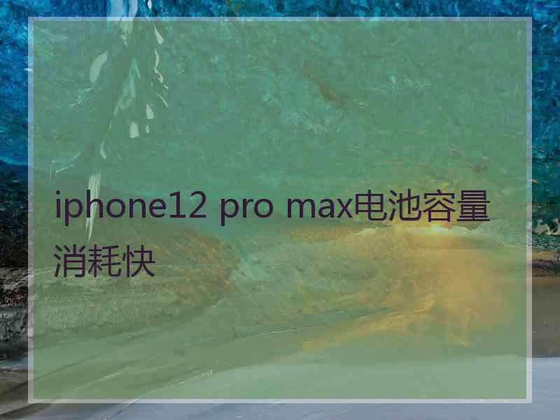 iphone12 pro max电池容量消耗快