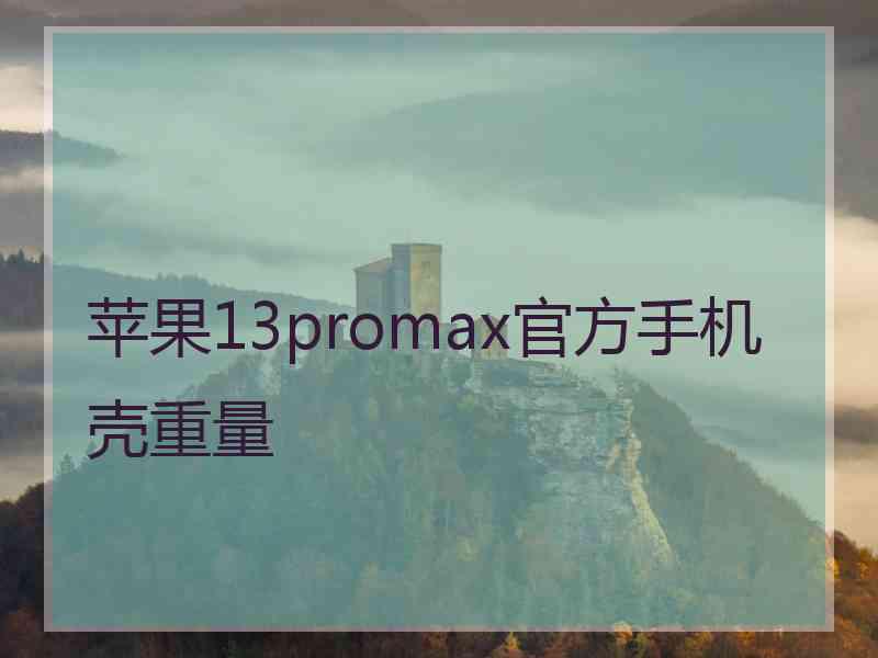 苹果13promax官方手机壳重量