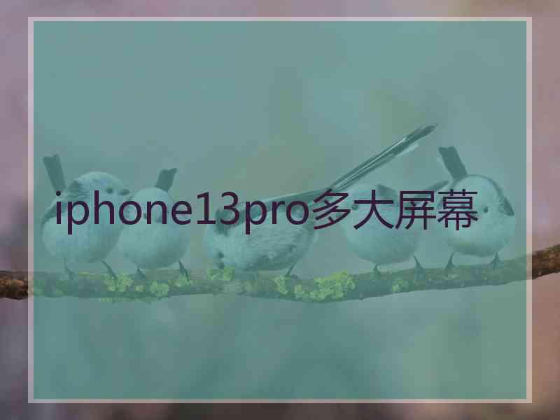 iphone13pro多大屏幕