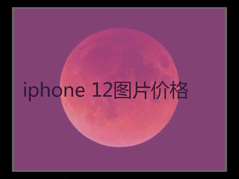 iphone 12图片价格