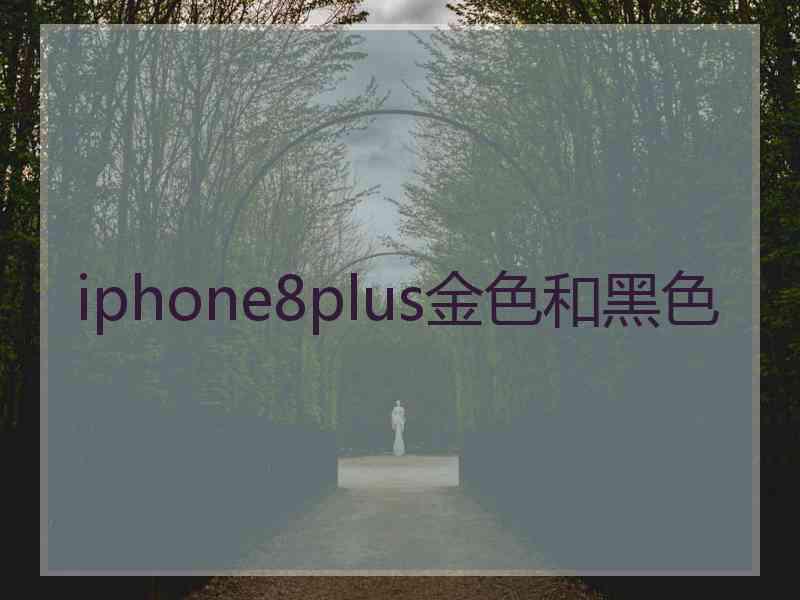 iphone8plus金色和黑色