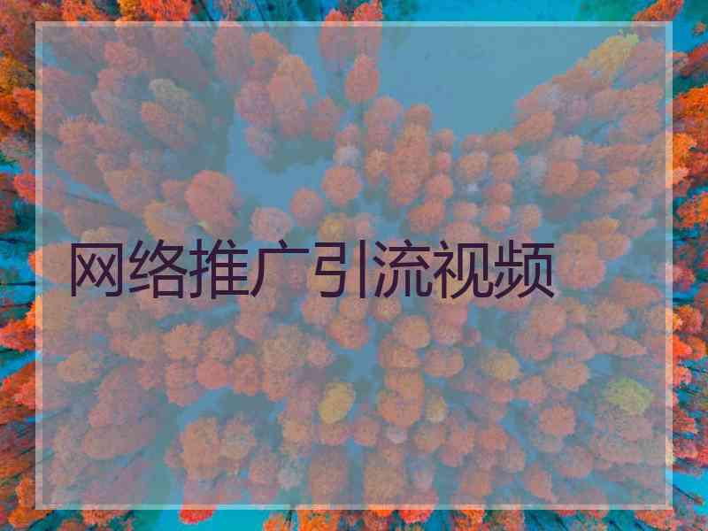 网络推广引流视频