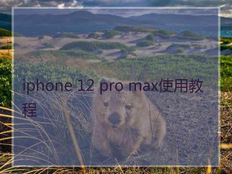 iphone 12 pro max使用教程