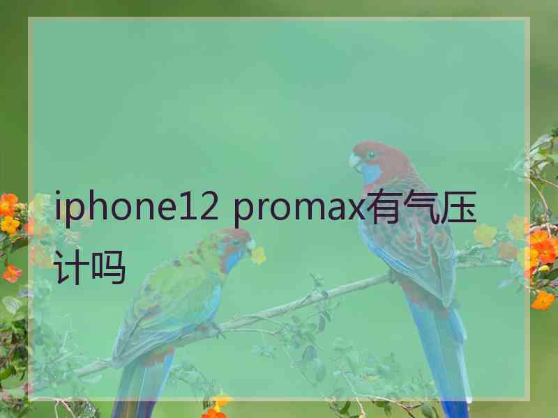 iphone12 promax有气压计吗