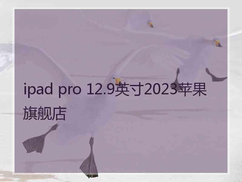 ipad pro 12.9英寸2023苹果旗舰店