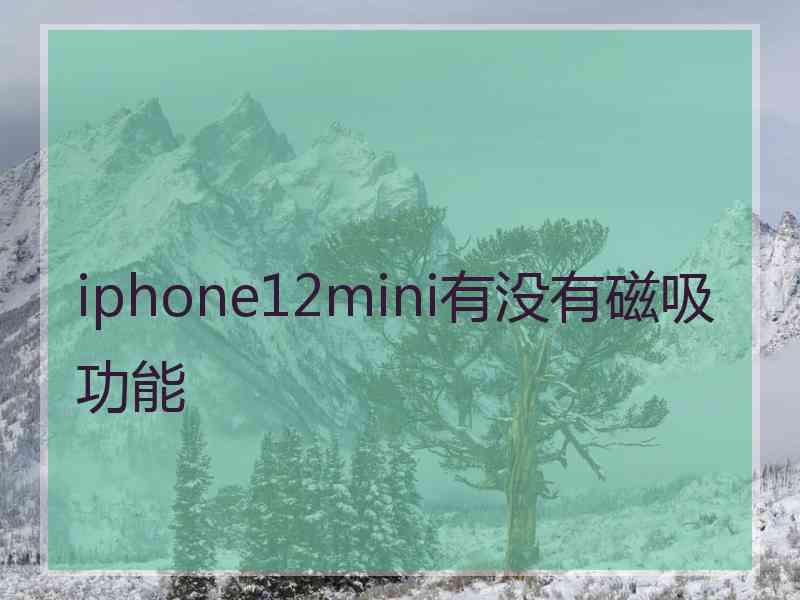 iphone12mini有没有磁吸功能