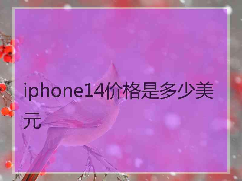 iphone14价格是多少美元