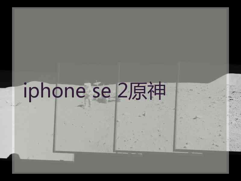 iphone se 2原神