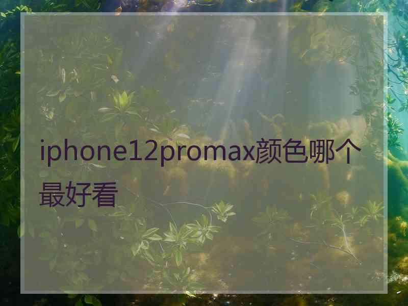 iphone12promax颜色哪个最好看