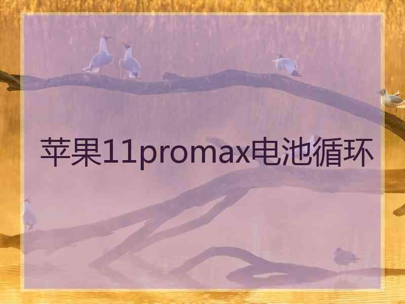 苹果11promax电池循环