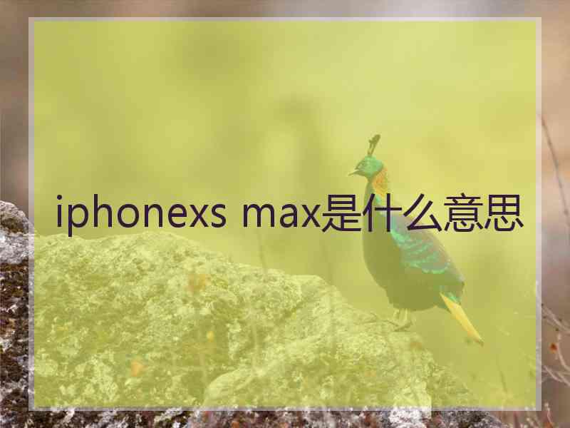 iphonexs max是什么意思