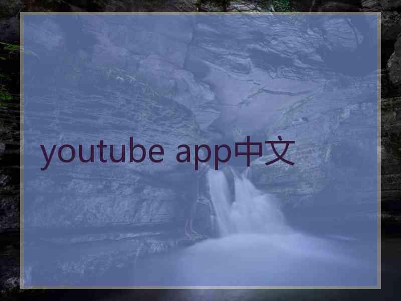 youtube app中文