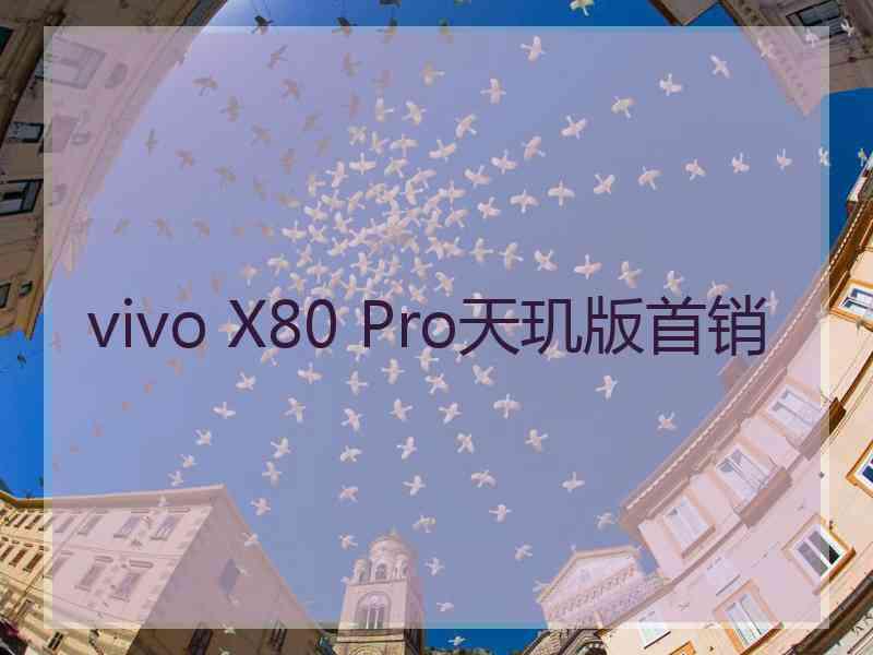 vivo X80 Pro天玑版首销