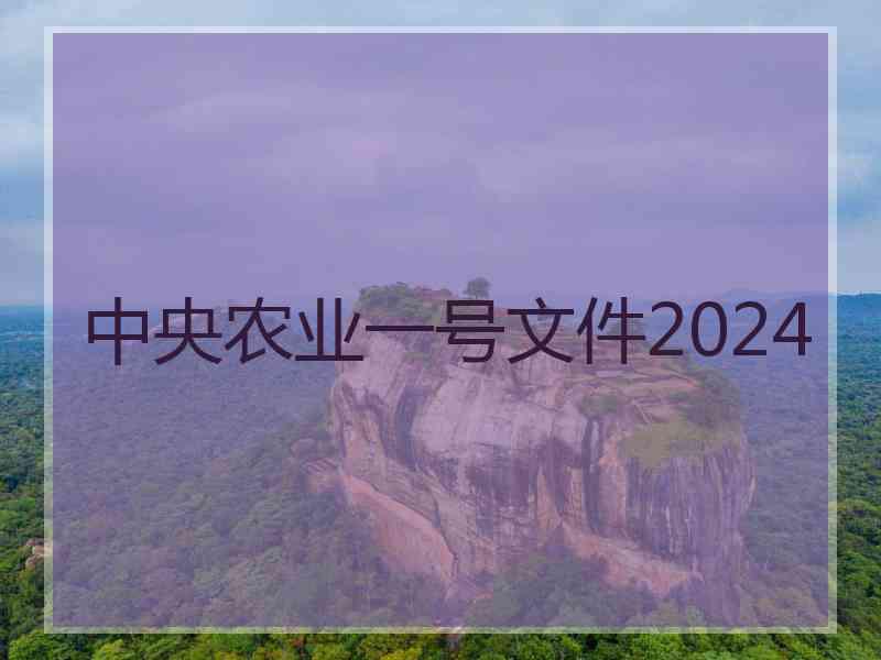 中央农业一号文件2024