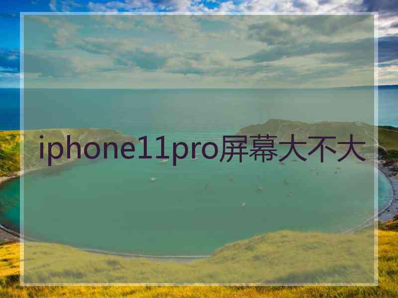 iphone11pro屏幕大不大