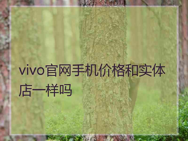 vivo官网手机价格和实体店一样吗