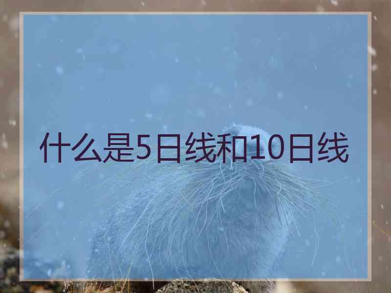 什么是5日线和10日线