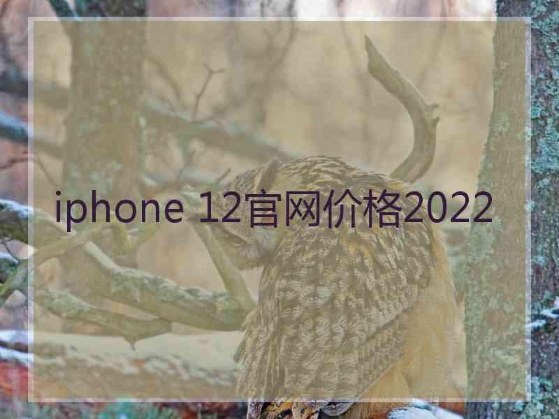 iphone 12官网价格2022