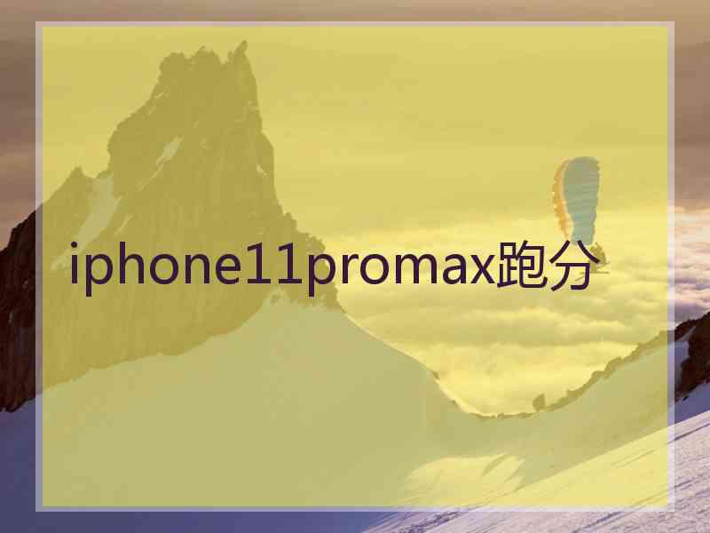 iphone11promax跑分