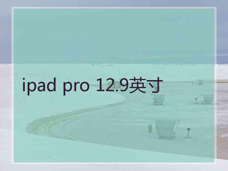 ipad pro 12.9英寸