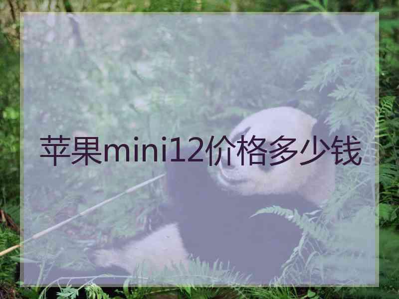 苹果mini12价格多少钱