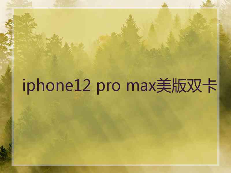 iphone12 pro max美版双卡