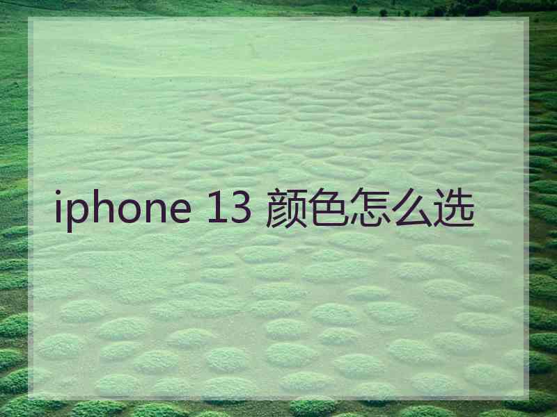 iphone 13 颜色怎么选