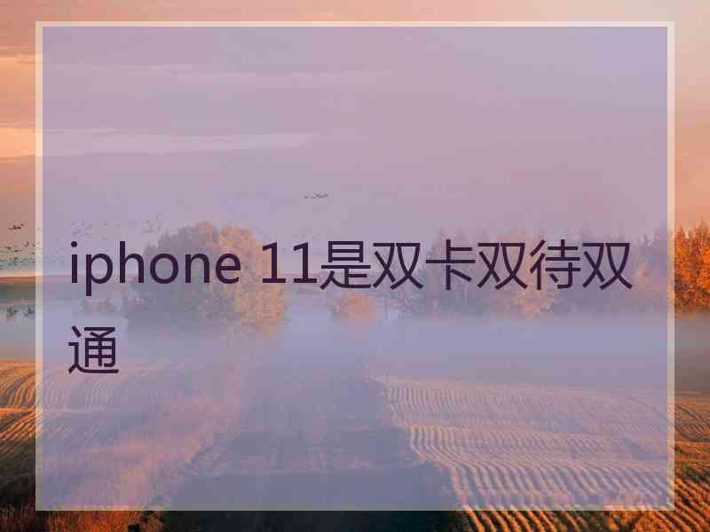 iphone 11是双卡双待双通