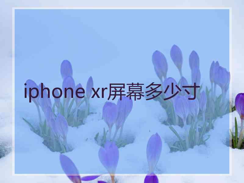 iphone xr屏幕多少寸