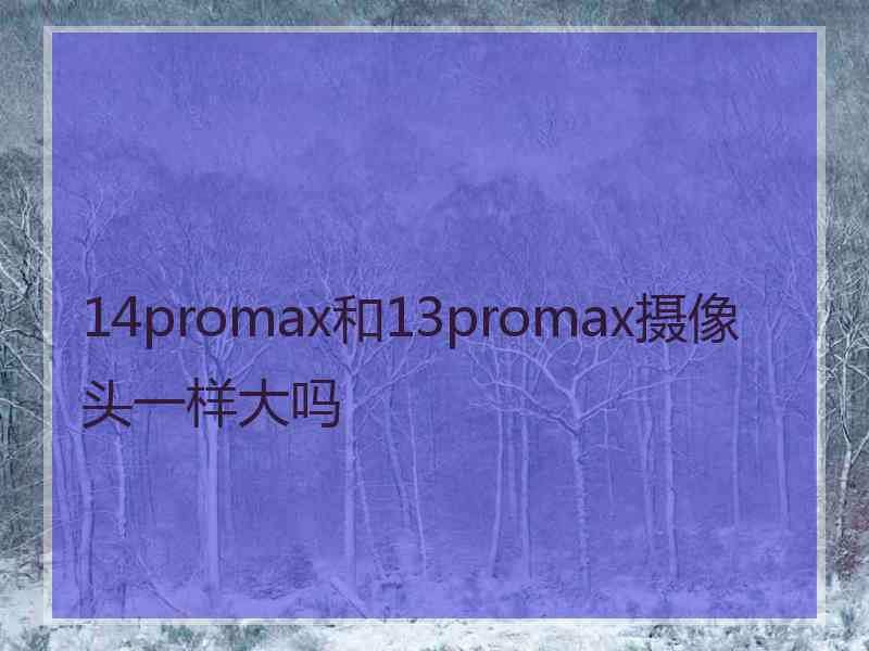 14promax和13promax摄像头一样大吗