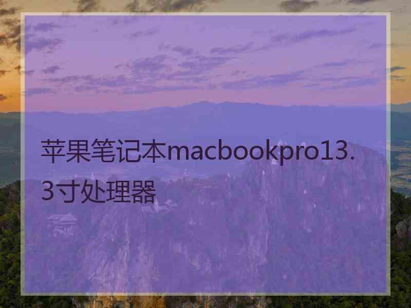 苹果笔记本macbookpro13.3寸处理器