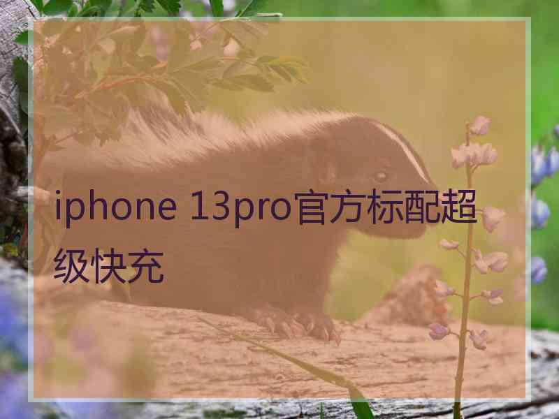 iphone 13pro官方标配超级快充